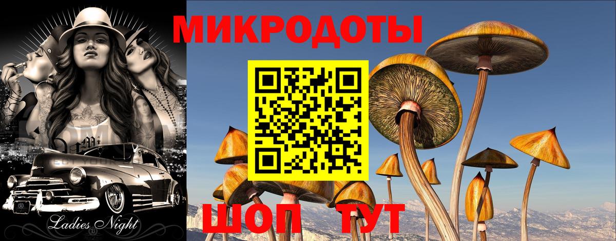 Псков  Галлюциногенные грибы Magic Shrooms  Вход с VPN 